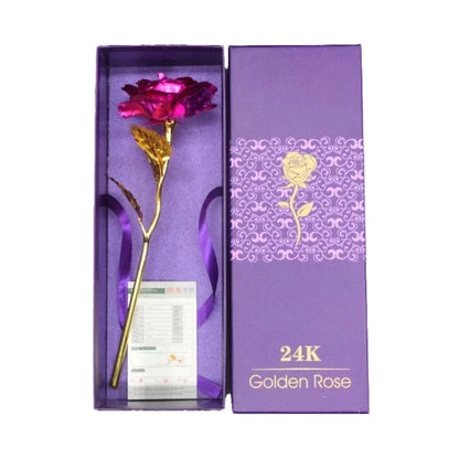 24k Gold Rose