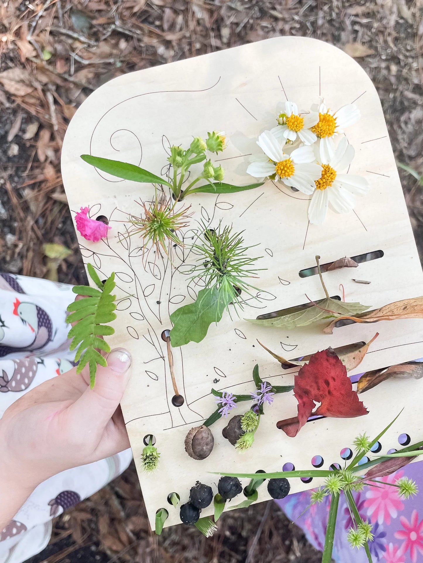 DIY Flower and Leaf Collector Boards